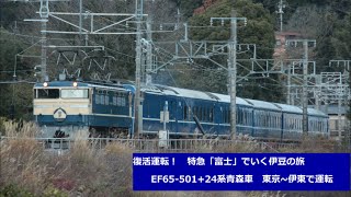 [FHD]復活運転‼特急富士で行く伊豆の旅　EF65-501+24系6両　伊東線内で撮影　2014/12/19
