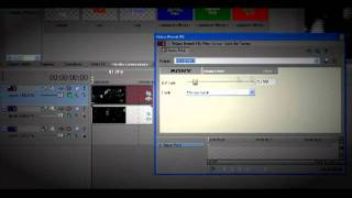 Sony Vegas Tutorial // xpurplexuffinx effect