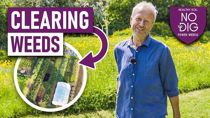 Clearing weeds no dig, time-saving results over two years