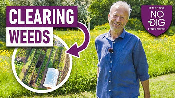 Clearing weeds no dig, time-saving results over two years