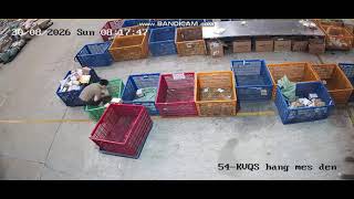 13556NT2608312855