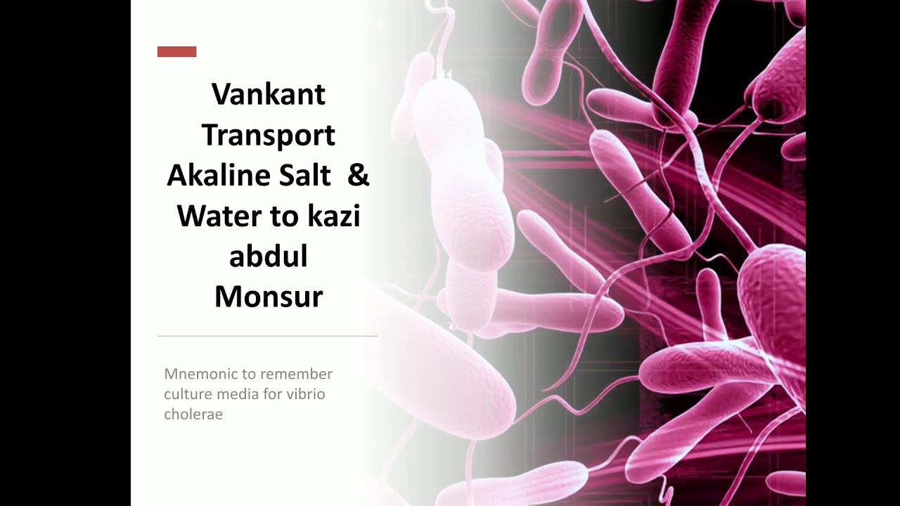 Mnemonic for culture media for Vibrio cholerae YouTube