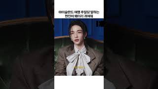 아이슬란드 여행 후기 들려주는 햄훈진🤍 #Hyunjin #StrayKids