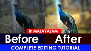 add background blur to photo 5