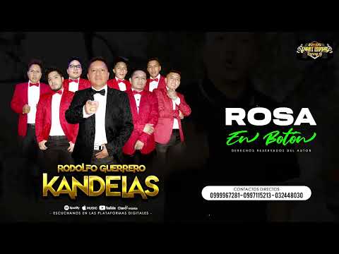 ROSA EN BOTÓN - KANDELAS - RODOLFO GUERRERO - AUDIO OFICIAL