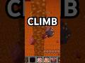 You’re Using Striders Wrong in Minecraft