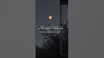 الآية ٤ من سورة الفتح بصوت القارئ عبد الرحمن مسعد
