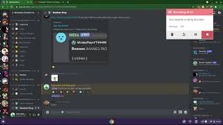 The Discord Experience