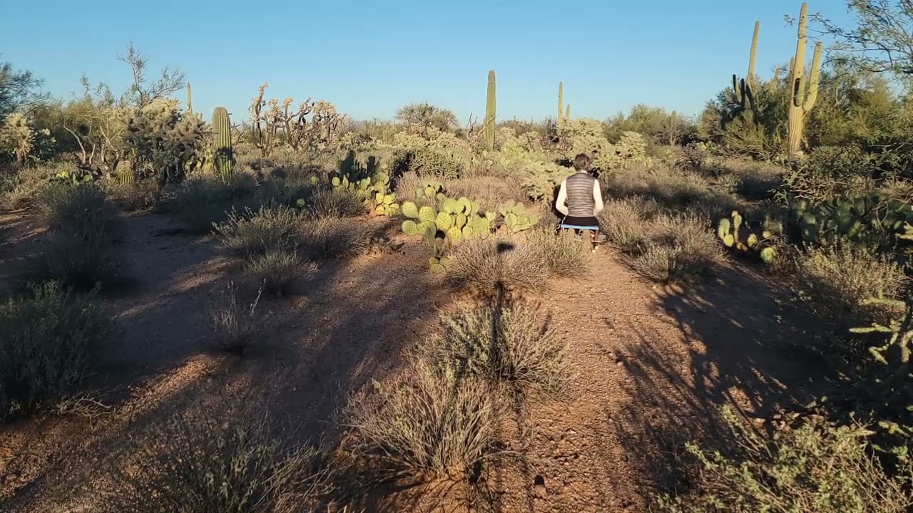 Northwest of Oracle, Arizona