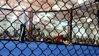 United Elite Mma