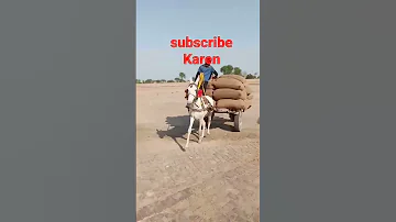کھچر کی سپیڈ اور وزن دیکھیں 
