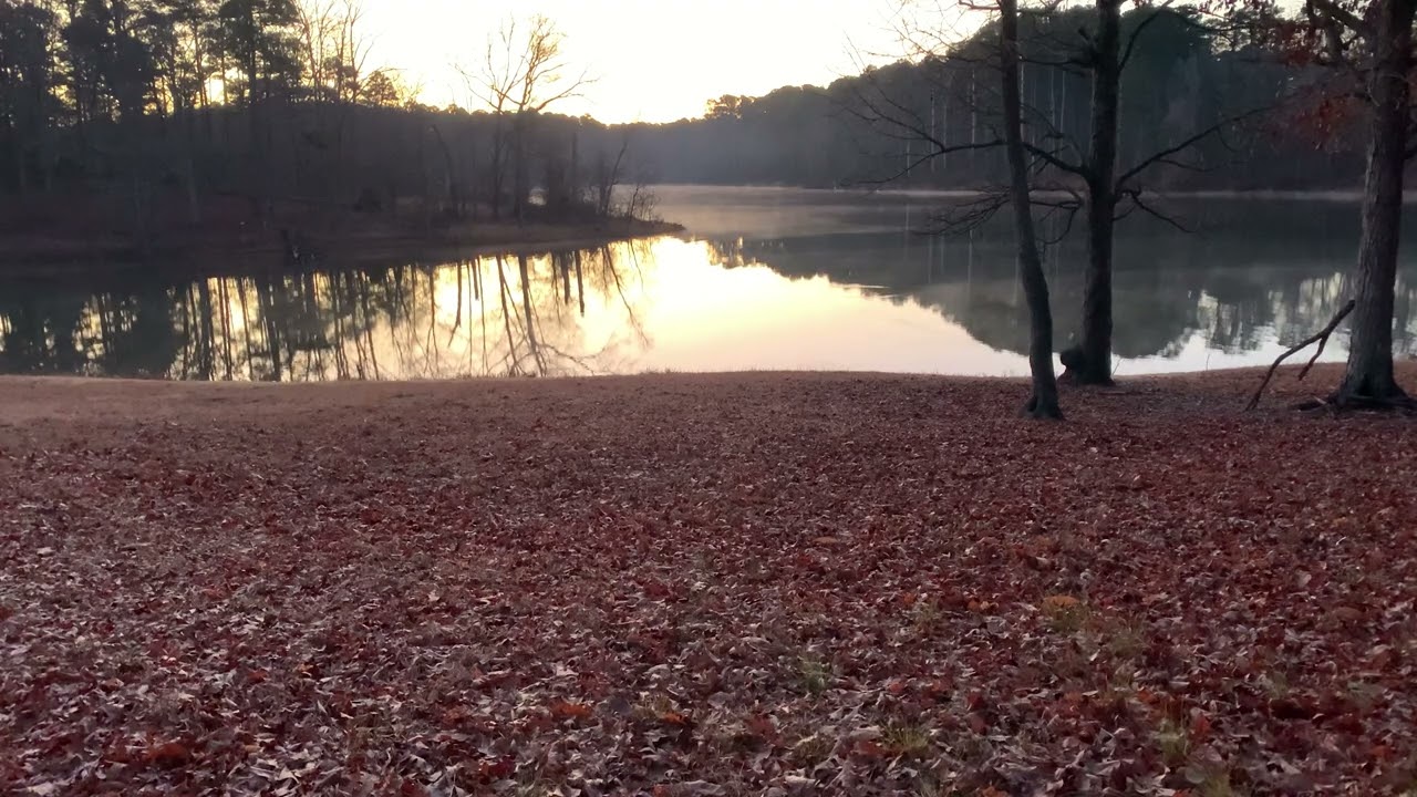 Misty Sunrise Over The Water