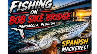 Went back to the beginning, BOB SIKE BRIDGE, in Pensacola, Florida. #fishing #viral #viralvideo
