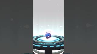 Can’t wait to use Shiny Venomoth in Go Battle League! ✨👊🏽💥 #shorts #gobattleleague #pokemongo