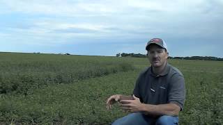 Round-Up Ready Alfalfa Vs Conventional With Jeff