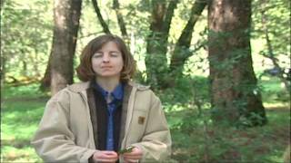 Sudden Oak Death part 3