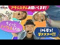 【嵐！完全戦闘態勢で挑む！】松本ゲッツ!!Ｌ第49回【パチスロ】【松本バッチ】【レビン】