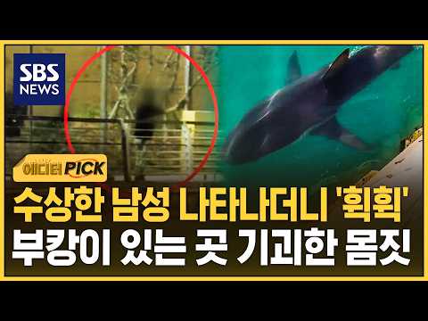 Suspicious man appears and starts 'flicking' things... bizarre behavior where Bukang-i lives (Edi...