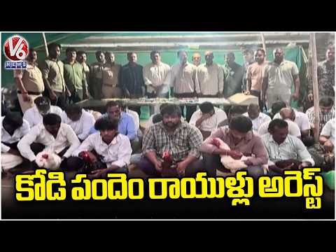 Police Arrested 22 Members Cockfighting Bettors In Adibatla | Rangareddy | V6 News - V6NEWSTELUGU