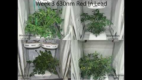 LED UFO 90 watt Comparison By NinjaGardens