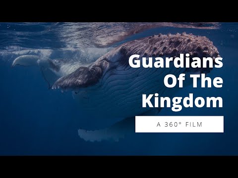 Guardians of the Kingdom 360