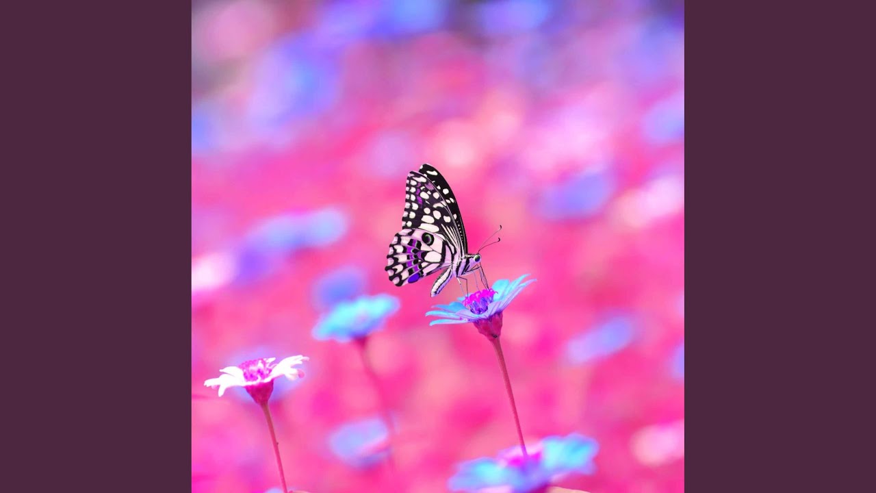 Sumptuous Entertaining Ways