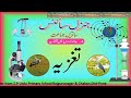 Std 7th General Science Nutrition In Living Organisms جماعت ہفتم جنرل سائنس جانداروں میں تغزیہ Std 7th General Science Nutrition In Living Organisms جماعت ہفتم جنرل سائنس جانداروں میں تغزیہ