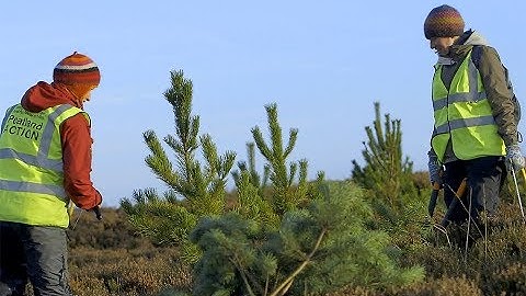 People and Peatlands - Trailer