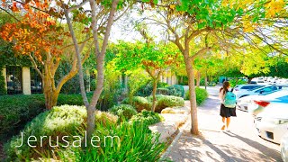 JERUSALEM is Most Beautiful in the Autumn. GERMAN COLONY, REHAVIA