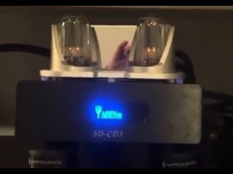 Wow A Tube Buffer Is So Musical Yaqin SD CD3 Like Modwright Analog Bridge Cryotone Tube Conditioner 