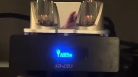 Wow a tube buffer is so musical. Yaqin SD-CD3 like Modwright Analog Bridge,Cryotone Tube Conditioner