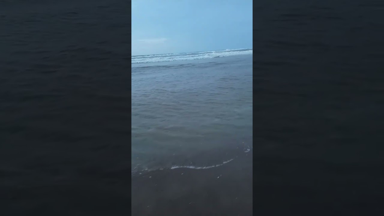 I calm Every Mountain and swime Every Ocean 