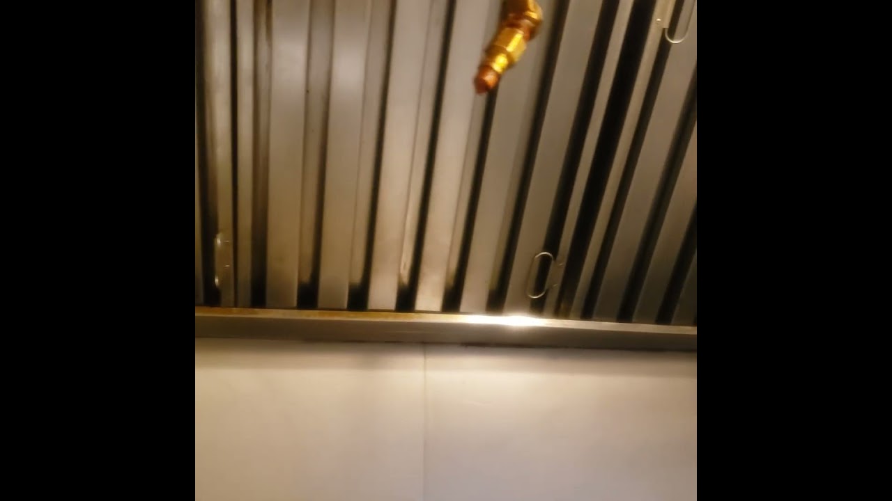 I Dont Own A Car But I have My Own Business 