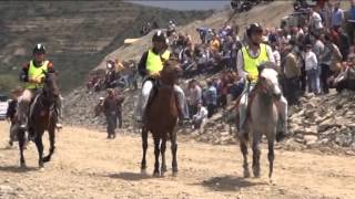 JI 20 BAJARÎ 100 PÊŞBAZ BEŞDARÎ PÊŞBAZIYA HESPAN BÛN