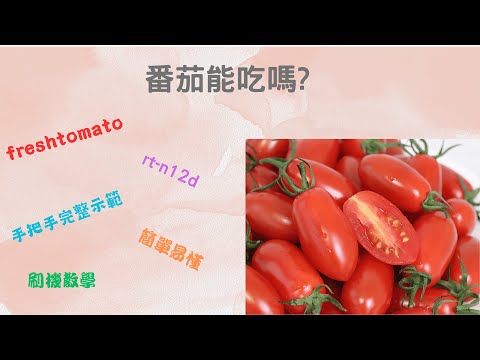 freshtomato番茄能吃嗎?asus rt-n12d 路由器wifi分享器教學大公開 手把手教程 wifi設定