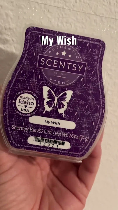 Organizing My Scentsy Wax Stash! 