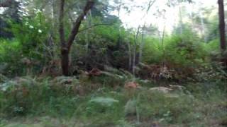 DSCF7338.AVI