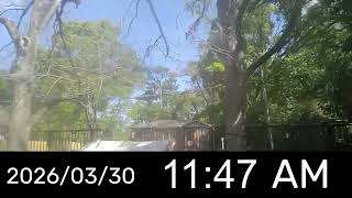 My longest timelapse ever! | March 30, 2026 sunrise to sunset