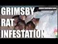 Grimsby Rat Infestation