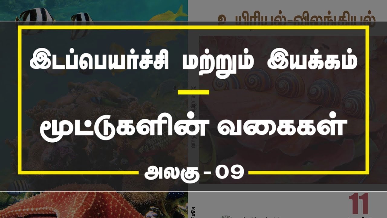 BIO - Zoology Video Lesson - Lesson - 9 Types of joints - YouTube