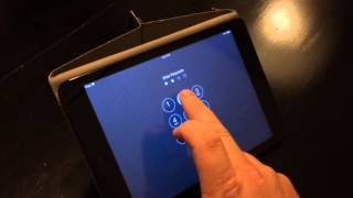 iPad mini makes weird noise