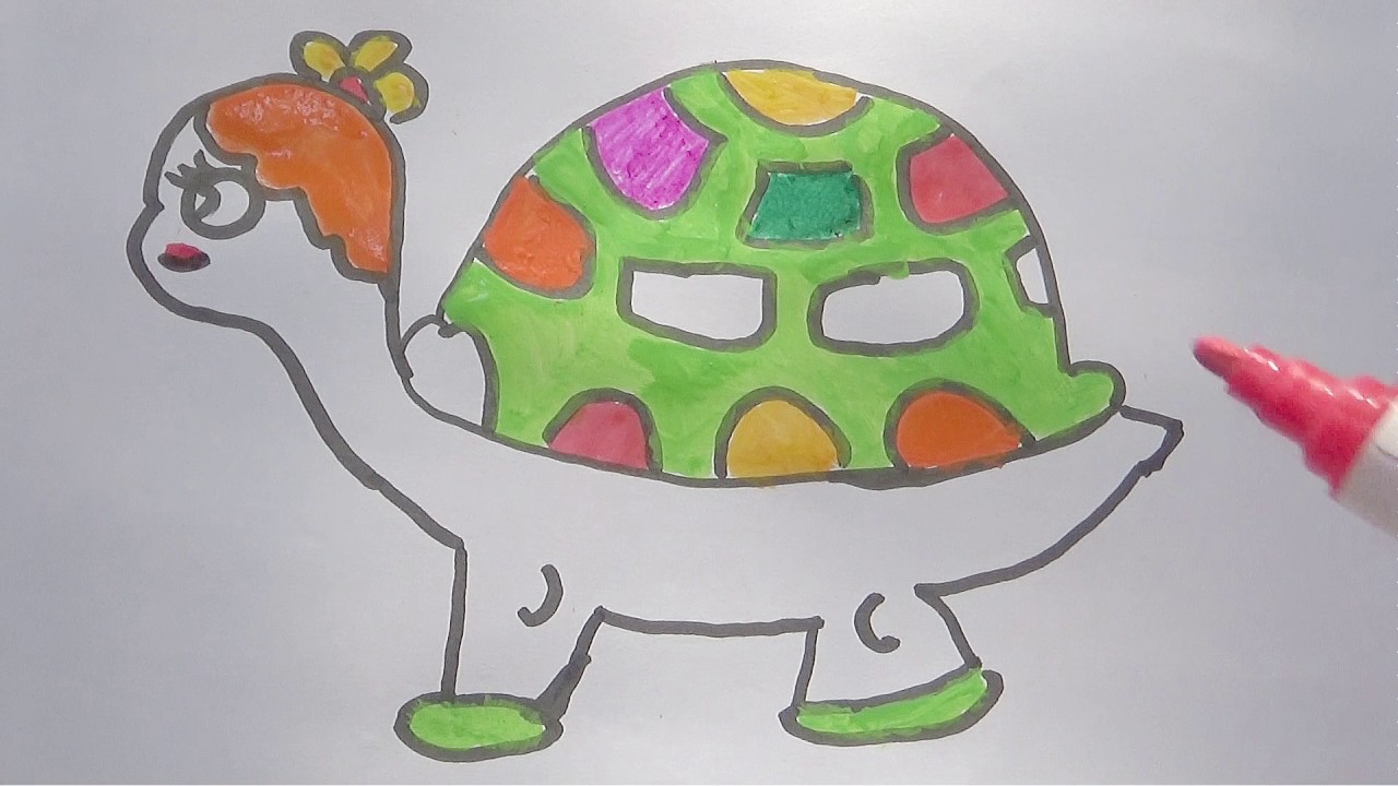 How To Draw A Cute Turtle Step By Step Colouring For Kid YouTube how-to-draw-a-cute-turtle-step-by-step-colouring-for-kid-youtube