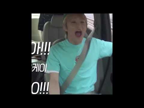 [NCT/마크] 깜짝깜짝 잘 놀라는 애옹이 모음