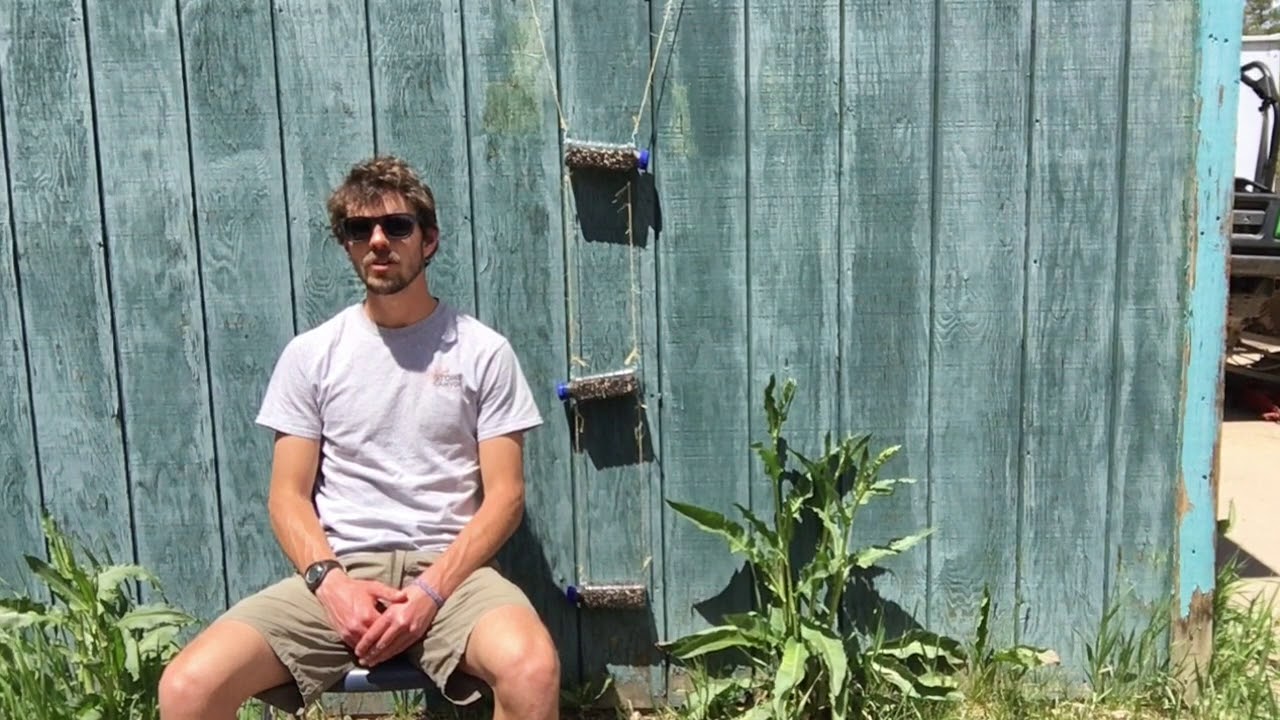 Dave's Bottle Garden E03 - YouTube