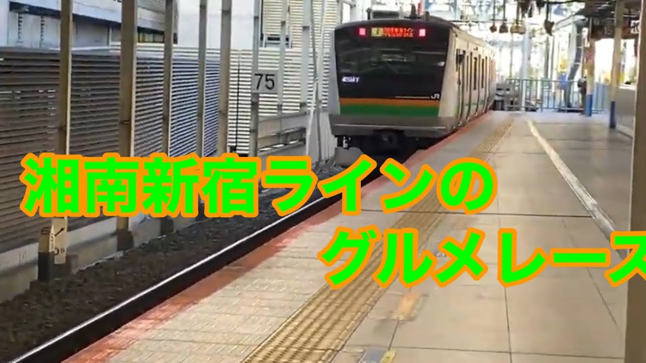 湘南新宿ラインのグルメレース#大変な途中下車シリーズ #グルメレース #湘南新宿ライン＃鉄道mad＃音mad