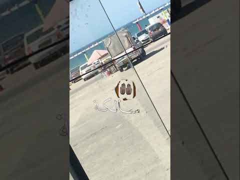 معمرة بالسوموم سالكة يا وعدي وانا نلبس قدي