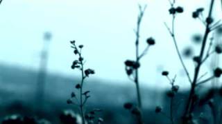 Vello Leaf - Stellar Wind [Video Art]