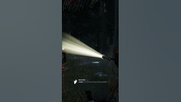 WHAT A SAVE!! WHAT A DELAY!!! @CptMcMellado #dbd #funny #survivor #swf #jillvalentine #flashlight