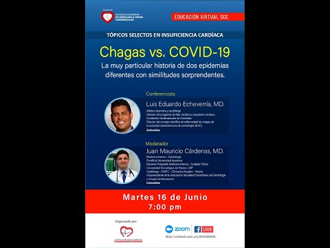 Vídeo: Chaga: Indicaciones De Uso, Propiedades útiles, Tratamiento