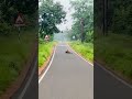 Tiger sleep on road 😴 #tadoba